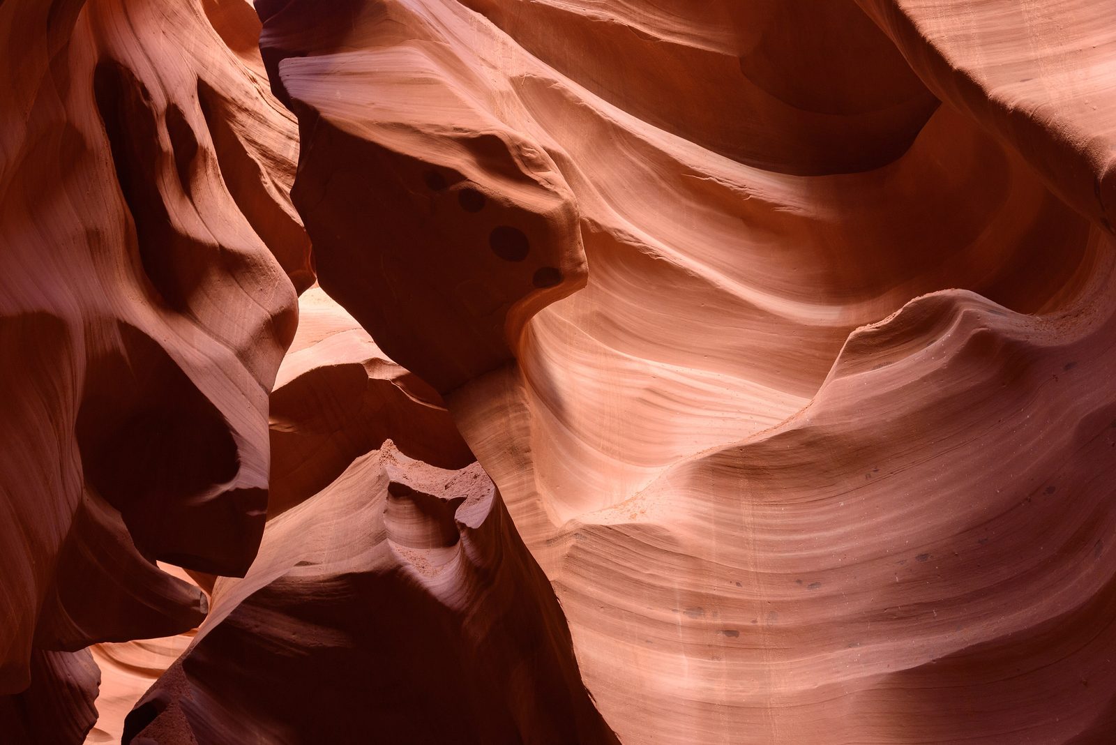 The curved sandstone walls of Lower Antelope Canyon