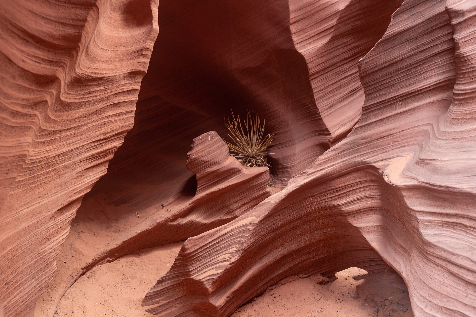The walls of a slot canyon near Page