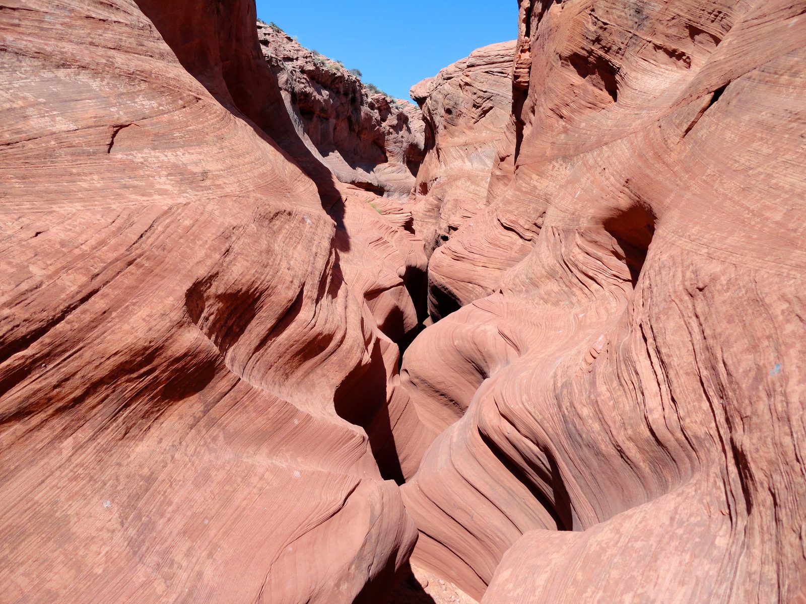 The walls of Waterholes Canyon south of Page