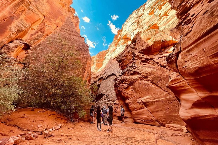 Grand Canyon South Rim, Antelope Canyon and Horseshoe Bend Tour, photo 2 of 10