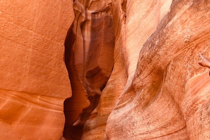 Antelope Canyon and Horseshoe Bend with Lunch, photo 10 of 10