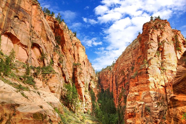 Premium 3 Day Grand Canyon, Monument Valley, Horseshoe Bend, Zion, photo 3 of 10