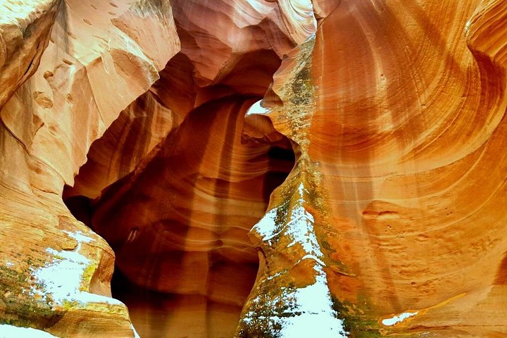 Small-Group Antelope Canyon and Horseshoe Bend Tour from Flagstaff, photo 5 of 9