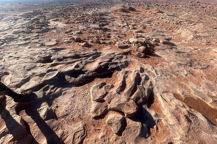 Grand Canyon South Rim, Antelope Canyon and Horseshoe Bend Tour, photo 8 of 10