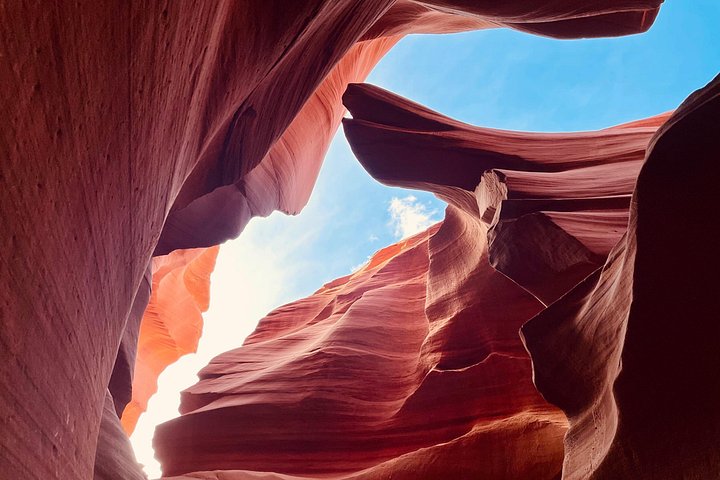Upper and Lower Antelope Canyon and Horseshoe Bend Tour from Page, photo 6 of 10