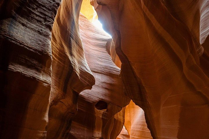 Horseshoe Bend and Antelope Canyon Day Tour from Phoenix, photo 4 of 6