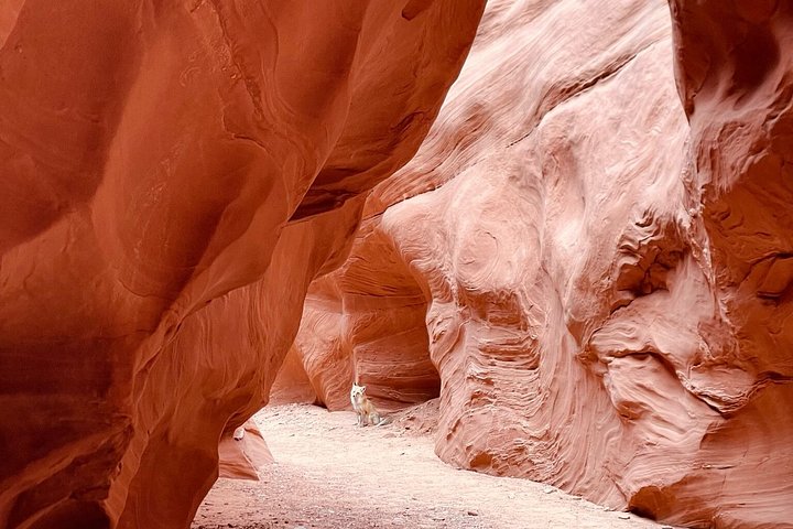 Antelope Canyon Kayak and Hike, photo 8 of 10