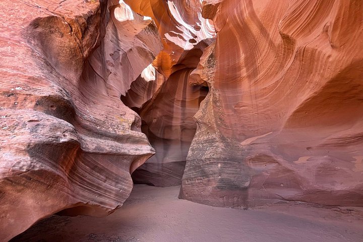 Upper and Lower Antelope Canyon and Horseshoe Bend Tour from Page, photo 9 of 10