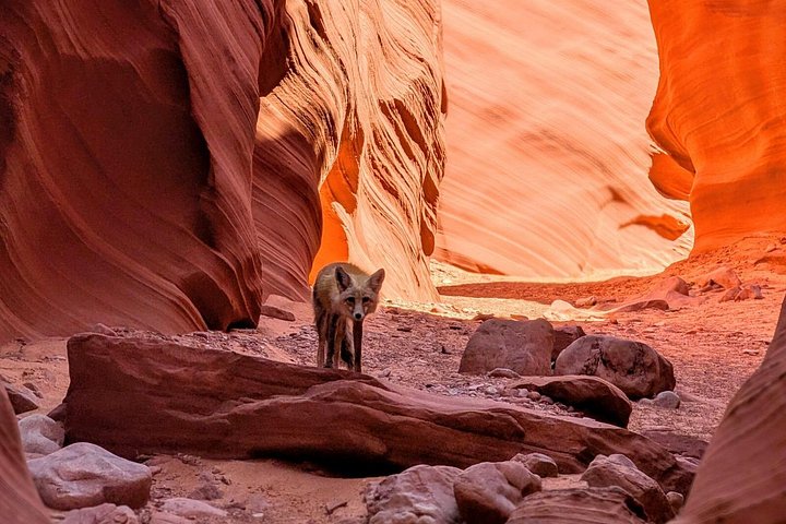 Antelope Canyon Kayak and Hike, photo 4 of 10