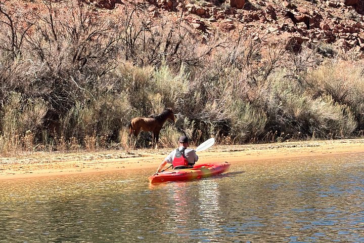 Horseshoe Bend Kayak Tour with Ancient Petroglyph Viewing, photo 6 of 10