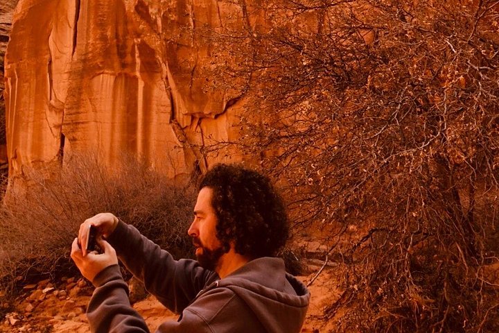 Antelope Canyon and Horseshoe Bend with Lunch, photo 7 of 10