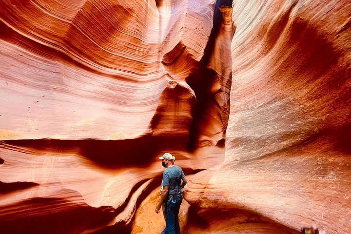 Grand Canyon South Rim, Antelope Canyon and Horseshoe Bend Tour, photo 4 of 10