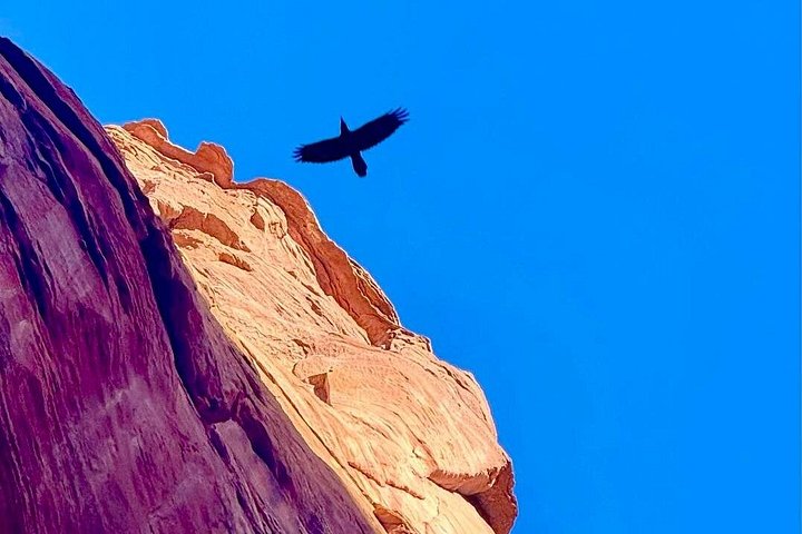 Lake Powell Kayak and Water Antelope Canyon Hike Guided Tour, photo 6 of 10