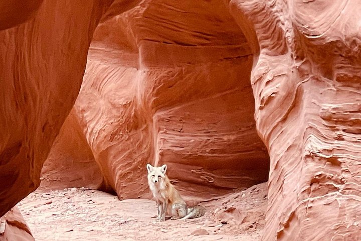 Antelope Canyon/Lake Powell Kayak Rentals: Self-Guided Adventures, photo 9 of 10