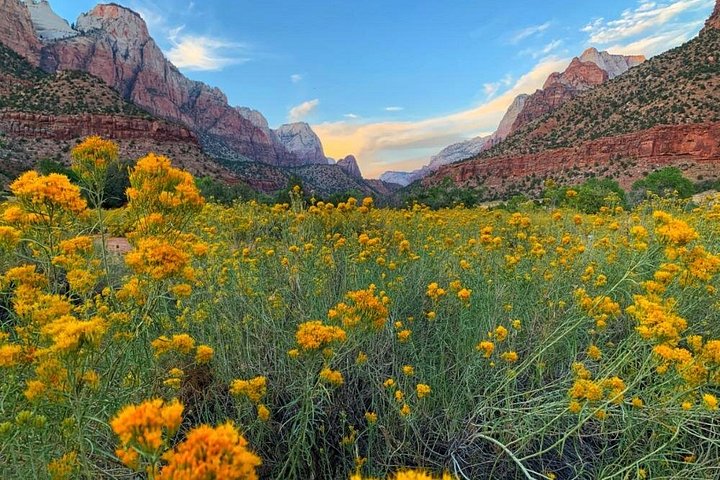 2 Day: Grand Canyon, Antelope Canyon, Horseshoe Bend, Zion Tour, photo 2 of 10