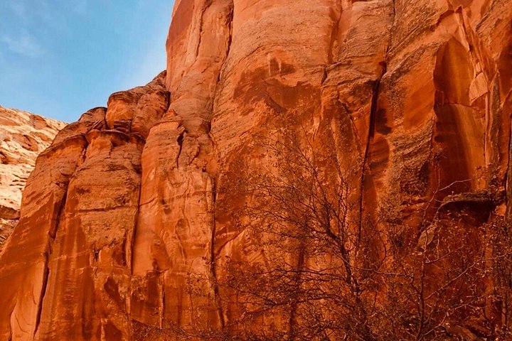 Antelope Canyon and Horseshoe Bend with Lunch, photo 9 of 10