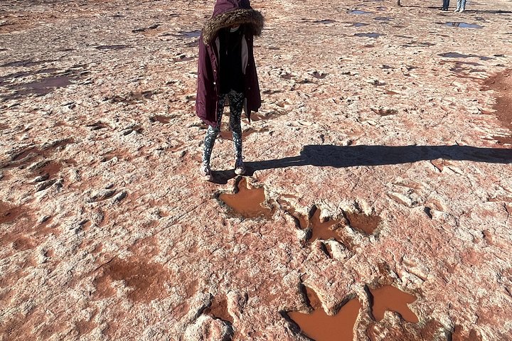 Grand Canyon South Rim, Antelope Canyon and Horseshoe Bend Tour, photo 10 of 10